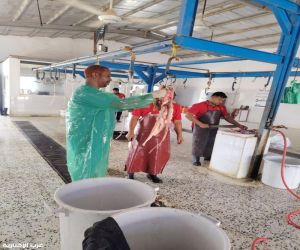 البيئة" تُكثّف جولاتها الرقابية على مسالخ وأسواق رابغ والعرضيات.