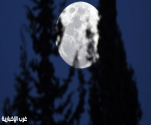 "بدر الفراشة" يزيّن سماء المملكة