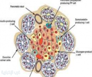تجارب علمية واعدة لابتكار علاج جذري لمرض السكري من النوع الأول