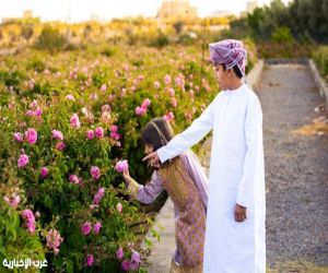 موسم ربيع الورد يعزز الحركة السياحية وينشّط الاقتصاد المحلي بمحافظة الداخلية