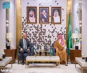 وزير الداخلية يبحث مع نظيره السوري تعزيز التعاون في إدارة الطوارئ والكوارث