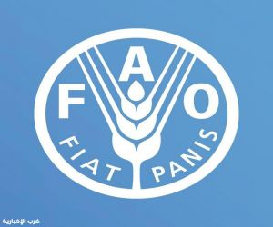 "الفاو": أزمة مضيق هرمز تهدد بارتفاع عالمي في أسعار الغذاء