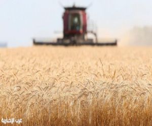 الأمن الغذائي تعلن طرح مناقصة لاستيراد 710 آلاف طن قمح لتعزيز المخزونات الاستراتيجية