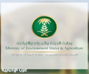 البيئة تبدأ استعداداتها لحج 1447هـ بخطة تشغيلية متكاملة لتعزيز الجاهزية