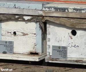 جولات رقابية بالعرضيات لتعزيز جودة العسل ودعم استدامة تربية النحل