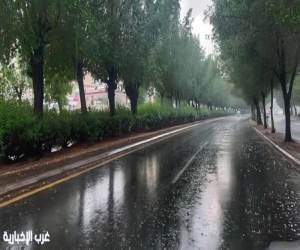 أمطار رعدية ورياح مثيرة للأتربة على عدة مناطق بالمملكة