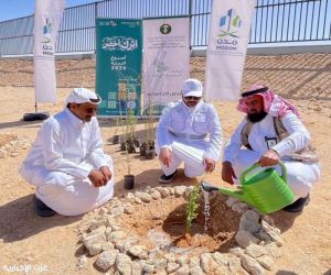 بيئة دومة الجندل" تنفذ مبادرة لزراعة مايزيد عن ٥٠٠ شتلة ضمن فعاليات أسبوع البيئة2026م بالتعاون مع واحة مدن الجوف
