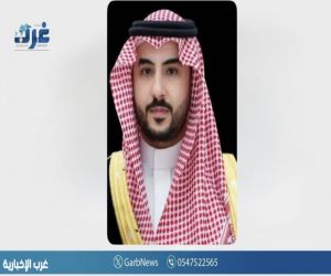 وزير الدفاع يبحث مع نظيره السويدي التعاون الدفاعي وتطورات المنطقة