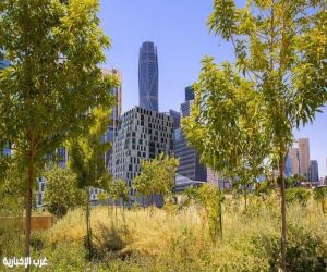 البرنامج الوطني للتشجير يوقّع 11 اتفاقية لتعزيز تنمية الغطاء النباتي ضمن أسبوع البيئة السعودي 2026 بالرياض