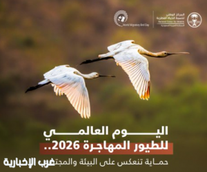 "تنمية الحياة الفطرية" يشارك في الاحتفال باليوم العالمي للطيور المهاجرة 2026