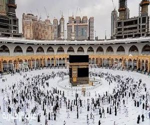 الهيئة العامة للعناية بشؤون الحرمين توضح آلية تمييز الأبواب الرئيسية في المسجد الحرام
