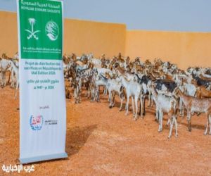 مركز الملك سلمان يوزع 600 أضحية للأسر المحتاجة في مالي