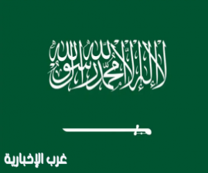 المملكة تؤكّد أهمية تعزيز التعاون الدولي لمكافحة الاتجار غير المشروع بالأسلحة