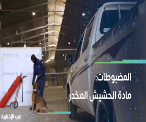 جمرك الوديعة يُحبط محاولة تهريب 6.2 كيلوغرام من مادة “الحشيش” المخدر