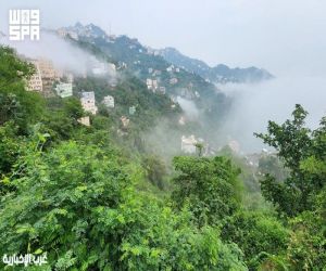 الخريف يطرق الأبواب.. وجازان تبدأ موسم الجمال
