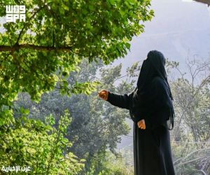 الباحة سلة فواكه الصيف.. تنوع زراعي استثنائي وحراك سياحي ينعش الاقتصاد المحلي