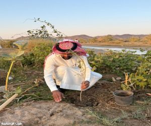 زراعة عسير تغرس 500 شتلة في وادي تبالة ضمن مبادرة السعودية الخضراء