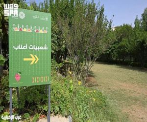 مزرعة سياحية في عسير تحصد جائزة HalalTrip الدولية