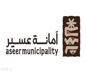 أمانة عسير: 62 فرصة وظيفية لخريجي برنامج التدريب التطوعي و1061 مستفيدًا منذ انطلاقه