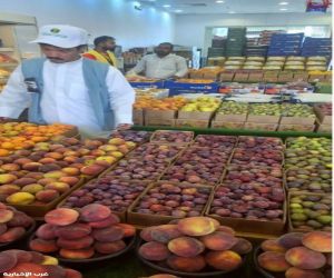 الفواكه الصيفية تُنعش الطائف.. موسم زراعي يزدهر بالسياحة ويحرك الاقتصاد المحلي