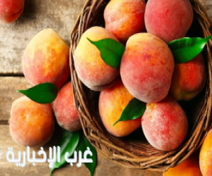 أكثر من (31) ألف طن من الخوخ المحلي تغزو الأسواق بالمملكة