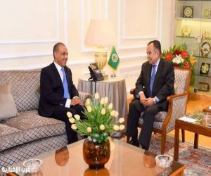 #مصر والجامعة العربية تؤكدان أهمية تطوير العمل المشترك