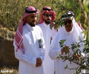 مدير عام “بيئة مكة” يتفقد المشاريع الزراعية في بني مالك ويؤكد دعم الاستثمار والتنمية الريفية