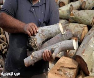 مهن من الماضي ..  الحطاب مهنة من الماضي تروي حكاية الكفاح