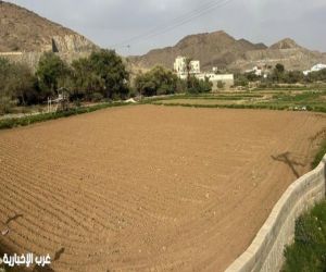 ​دخول نجم "علب" يعلن بدء الموسم الزراعي في عسير