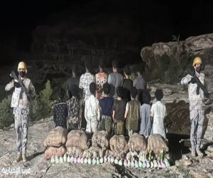 حرس الحدود بعسير يحبط تهريب 240 كيلوجرامًا من القات ويضبط 14 مخالفًا