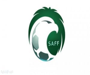لجنة الحكام تعتمد آلية طلب الحكام الأجانب للموسم الجديد