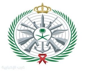 وزارة الدفاع: اعتراض وتدمير عددًا من المسيّرات قادمة من الأراضي العراقية