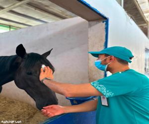 مركز "وقاء" يعزز الصحة الحيوانية والأمن الحيوي في موسم سباقات الخيل بالطائف