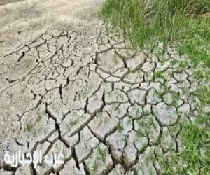 جفاف حادّ يضرب نصف أنحاء إنجلترا