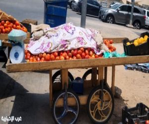 أمانة جدة تتعقب البيع العشوائي وتصادر أكثر من 2 طن خضروات وفواكه