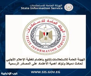مصر تنفي صحة التقارير الأجنبية عن مسؤولية حريق سفينتي دمياط
