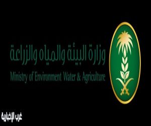 فرع البيئة والمياه والزراعة يطلق حملة توعوية في سوق تمور المدينة المنورة.