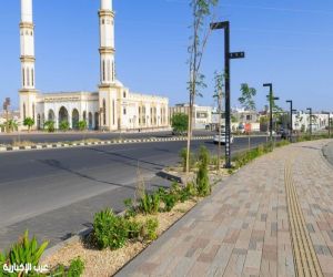 أكثر من 1400 شجرة بونسيانا وجاكرندا تزين طريقي المحالة والأمير سلطان ضمن مشاريع أنسنة أمانة عسير