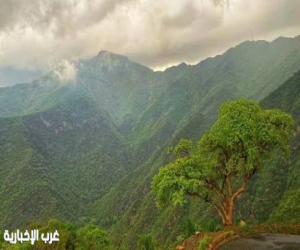 الأرصاد: استمرار السحب الرعدية الممطرة على المرتفعات الغربية والجنوبية الغربية