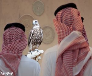 المركز الوطني للصقور يفتتح أولى فعالياته "المزاد الدولي لمزارع إنتاج الصقور 2026