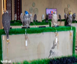 مزرعة «RO FARM» الرومانية تشارك لأول مرة في المزاد الدولي لمزارع إنتاج الصقور بأكثر من 120 صقراً