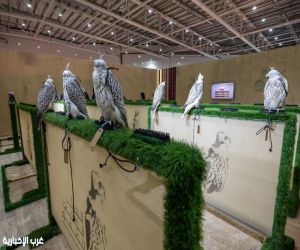 مزرعة بولندية: المزاد الدولي لمزارع إنتاج الصقور وجهة تجمع المنتجين والصقارين وتعزز المنافسة