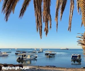 شواطئ ضباء.. لوحة طبيعية آسرة تعزز مكانة "لؤلؤة البحر الأحمر" سياحياً
