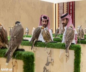 إقبال لافت على المزاد الدولي لمزارع إنتاج الصقور في عطلة نهاية الأسبوع