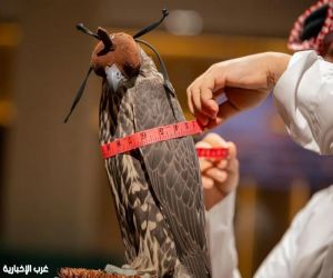 سلالات ومدارس إنتاج عالمية تلتقي في المزاد الدولي لمزارع إنتاج الصقور