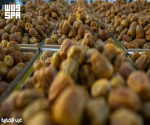 نوادر التمور تستقطب زوار كرنفال بريدة الدولي وتعزز التنوع الوراثي للنخيل بالقصيم