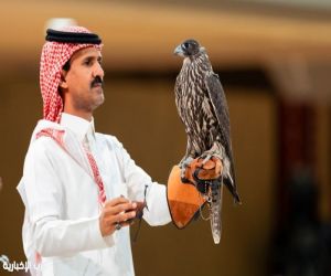 من الجير إلى الشاهين.. خصائص تميز أنواع الصقور في المزاد الدولي لمزارع إنتاج الصقور