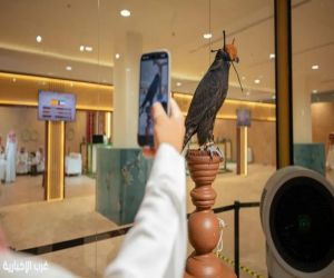 إجراءات تنظيمية متكاملة تعزز شفافية صفقات المزاد الدولي لمزارع إنتاج الصقور