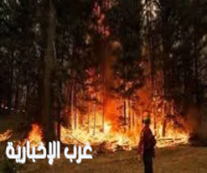 اليونان تعلن حالة التأهب القصوى مواجهةً لمخاطر حرائق الغابات