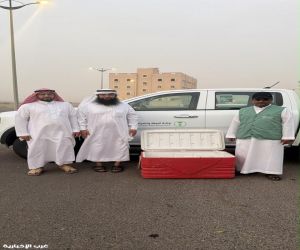 بيئة الليث تكثف الرقابة على مراسي الصيد وتضبط 40 كيلوجرامًا من الأسماك